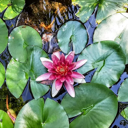 Casa de Férias Le Nid - Maison Dans Les Bois Avec Cheminee Et Vue Port-Sainte-Marie