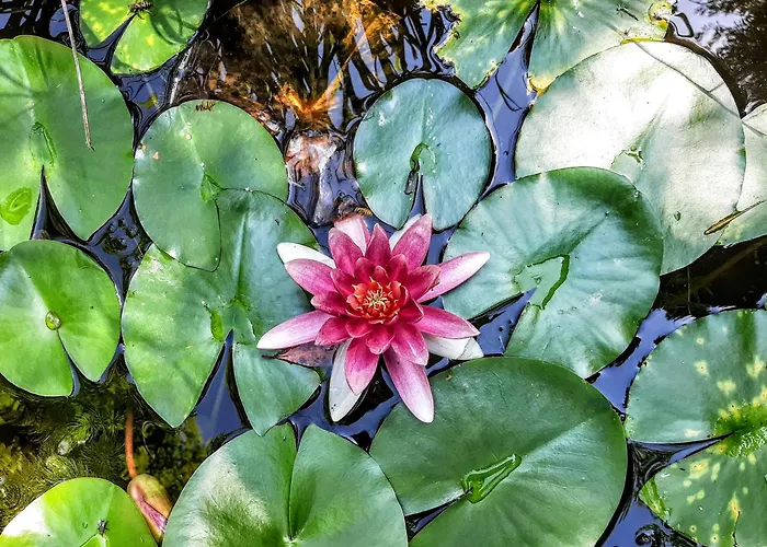 Holiday home Le Nid - Maison Dans Les Bois Avec Cheminee Et Vue Port-Sainte-Marie